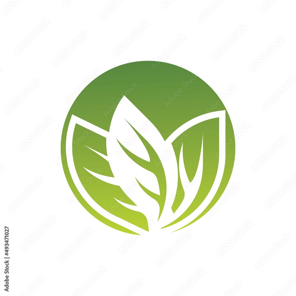 Leaf vector logo template icon design Leaf vector logo template icon design