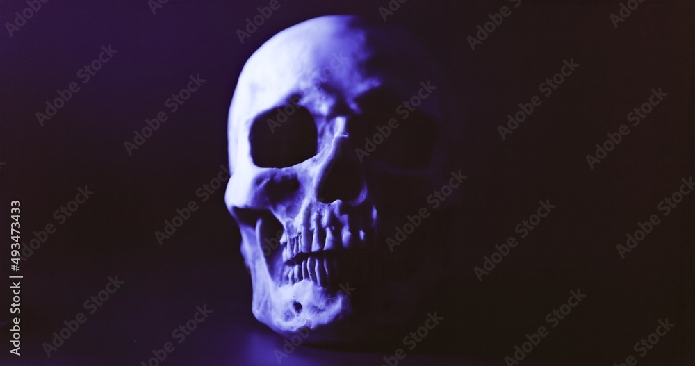 Skull with colored lighting closeup Skull with colored lighting closeup