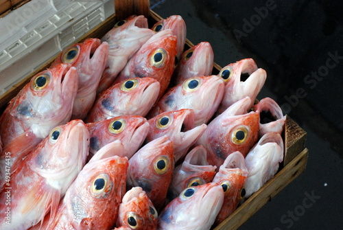 Pesce mediterraneo in vendita al mercato photo