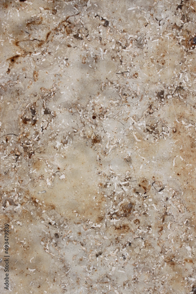 unevenly textured surface of a marbled stone tile unevenly textured surface of a marbled stone tile