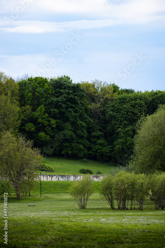 Park with Green Trees in the Spring