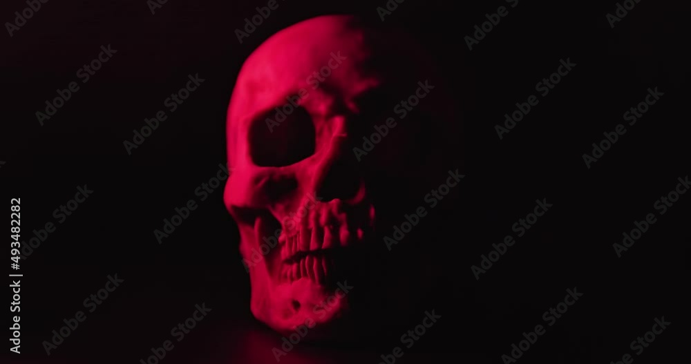 Skull with colored lighting loop closeup Skull with colored lighting loop closeup