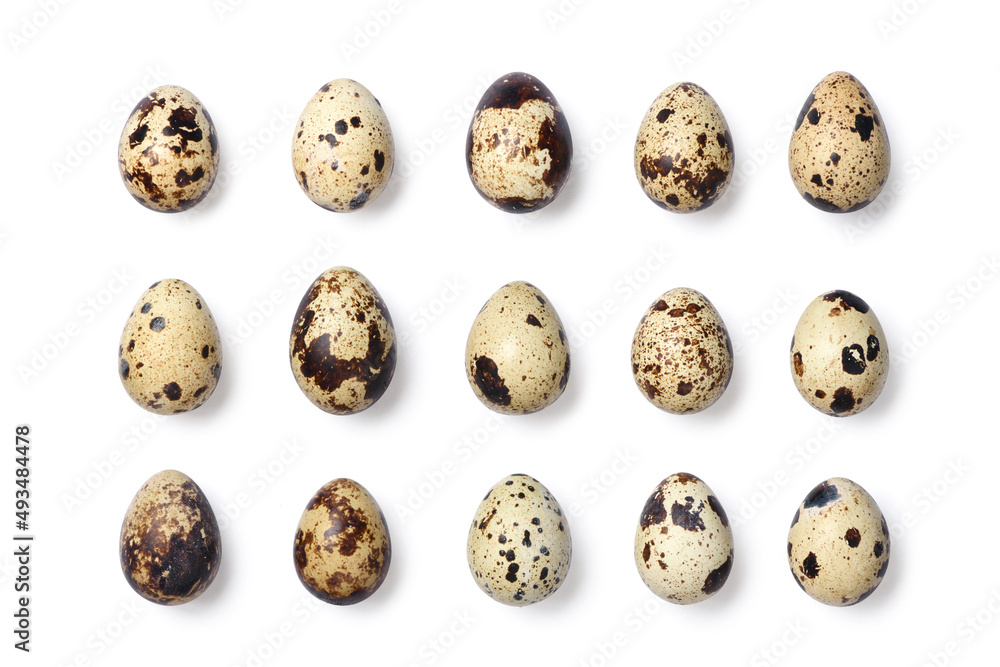 A variety of quail eggs isolated on white background.