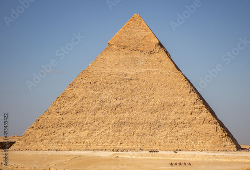 Pyramid Khafre with row of walking camels Giza  Cairo Egypt