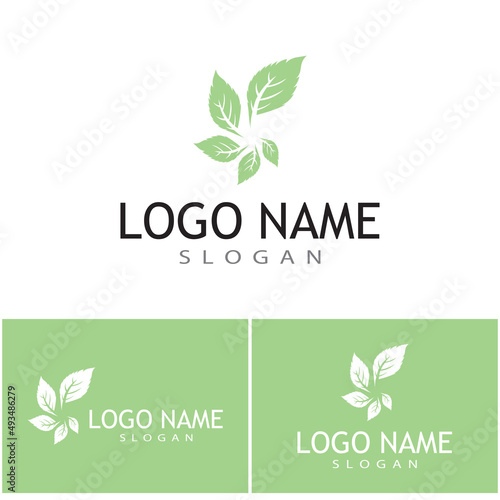 Mint leaves flat vector color icon template illustration design