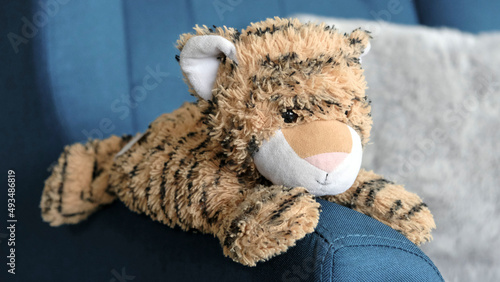 Bouillotte naturelle doudou tigre en peluche photo