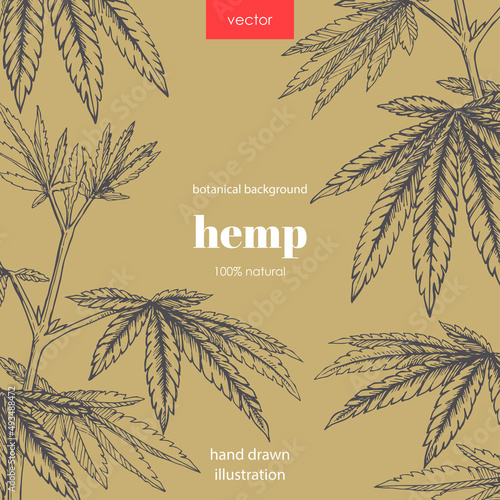 Floral background with hemp branches. Vector botanical illustration of cannabis leaves in sketch style.