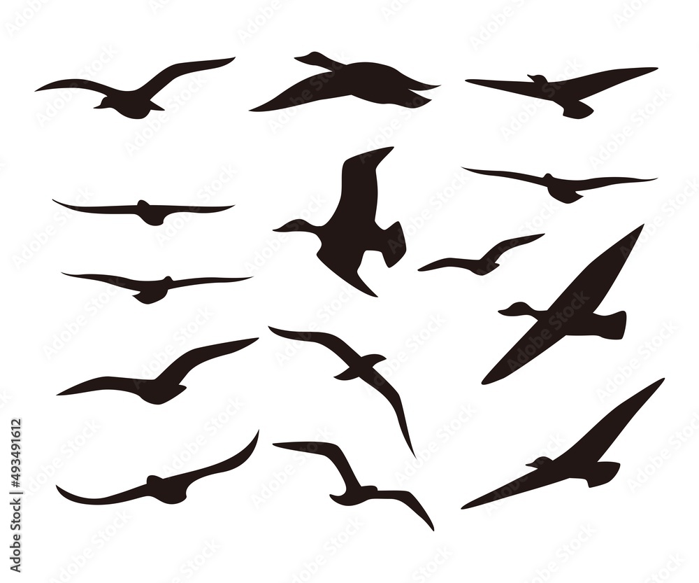 Silhouette flying birds icon set. Flying bird icon vector Silhouette flying birds icon set. Flying bird icon vector