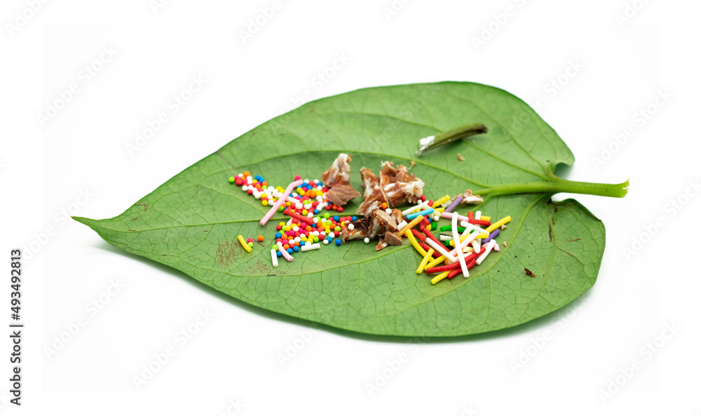 masala betel leaf which is also works as mouth freshener isolate on white