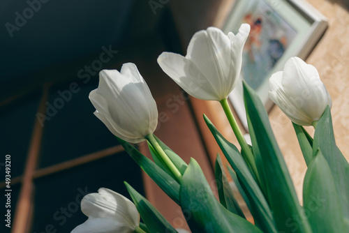 Whitepink tulips in a flowerpot on the table  photo