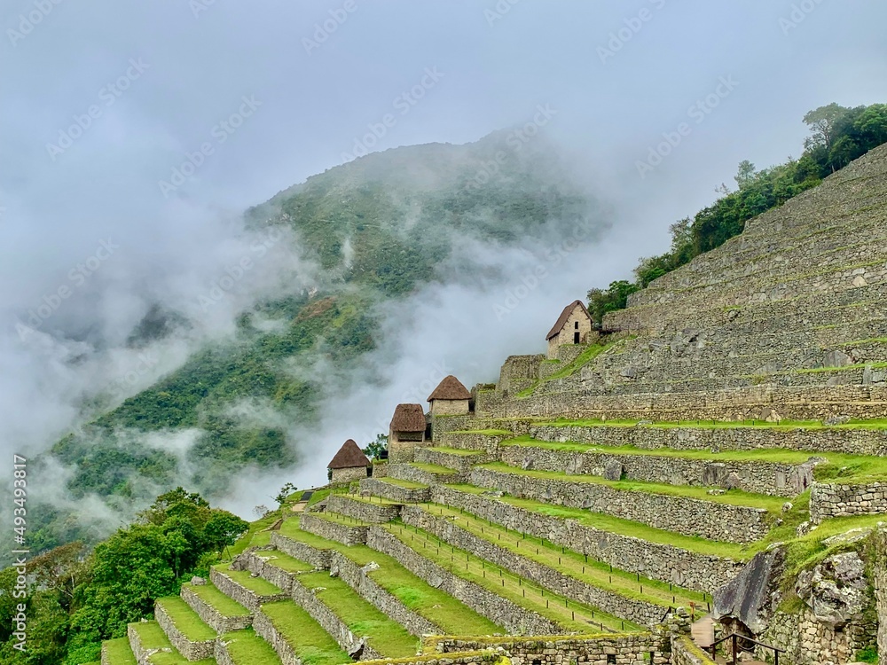 terraced terraces