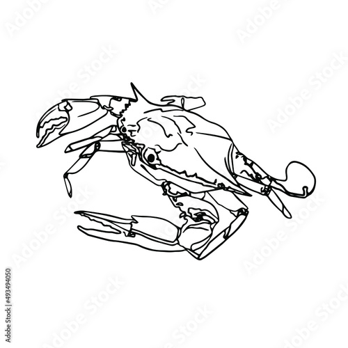 Crab Doodle, a hand drawn vector doodle of a crab line art crab.Ocean life.