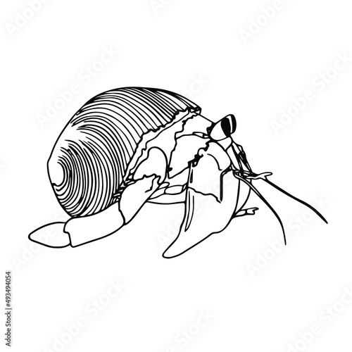 Crab Doodle, a hand drawn vector doodle of a crab line art crab.Sealife 