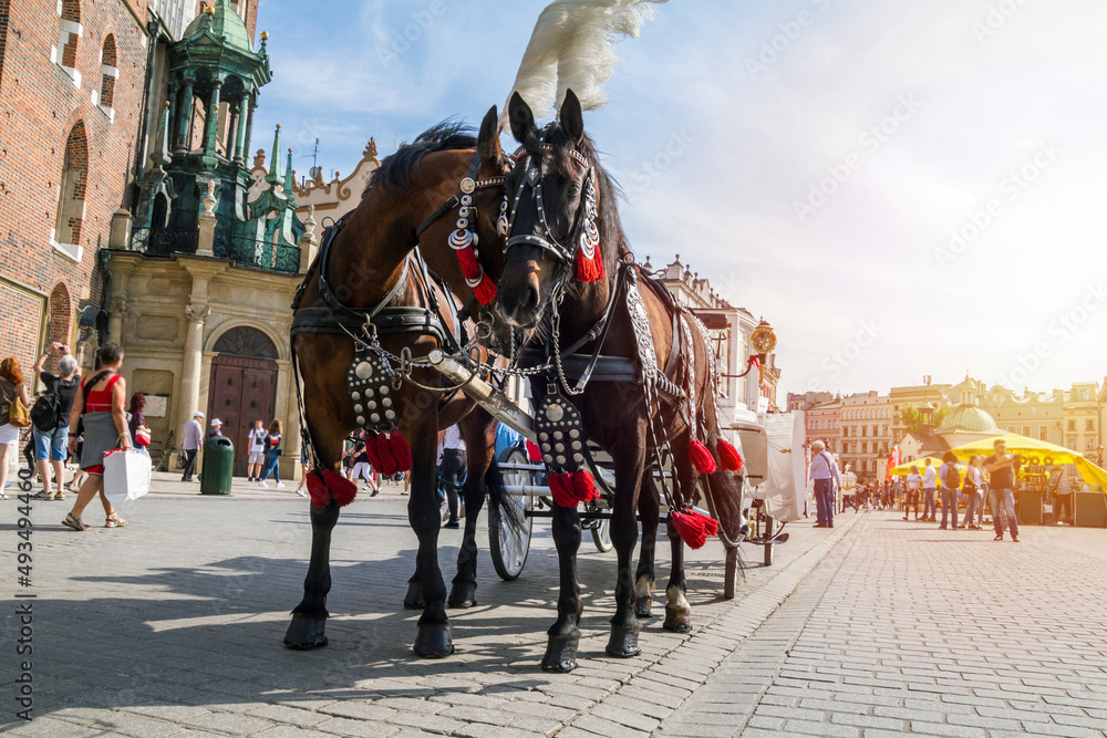 Horse carriages at Main Market Square Kraków. Popular tourist attraction, waiting in front of St. Mary's Basilica (Mariacki Church) in the Old Town of Krakow, Poland.