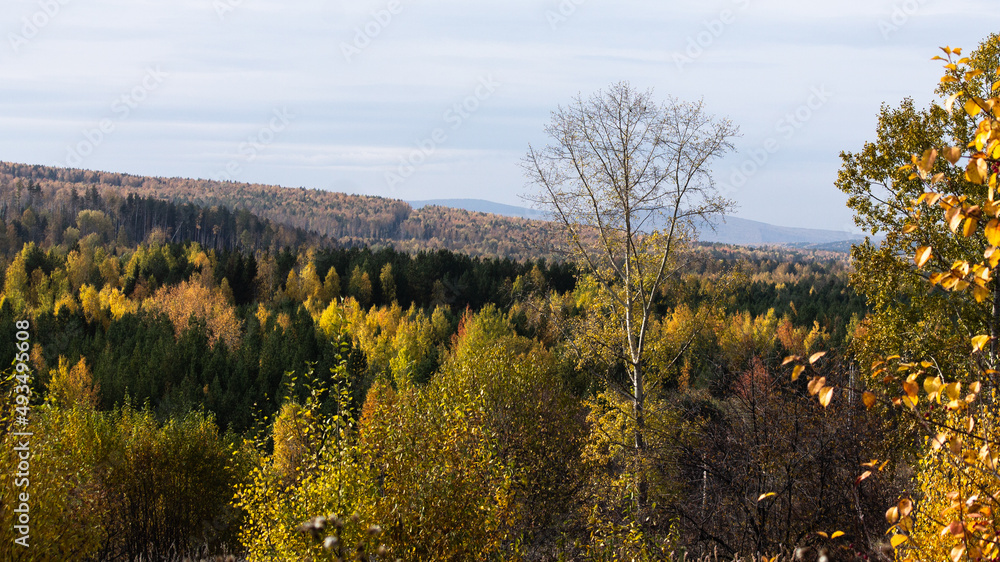 Fototapeta premium Photography by Madyss0n