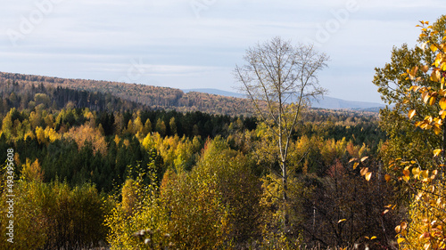 Photography by Madyss0n