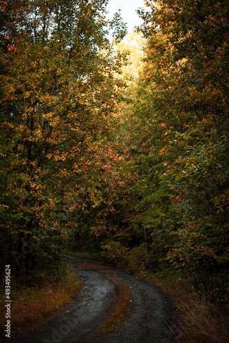 To more foto: Pexels | Danila Popov