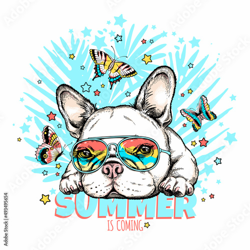 Cute french bulldog with butterflies.Summer is coming  illustration. Stylish image for printing on any surface