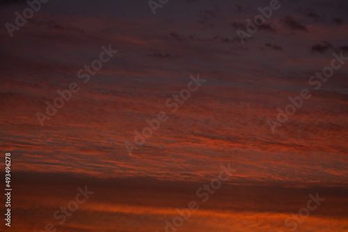 To more foto: Pexels | Danila Popov