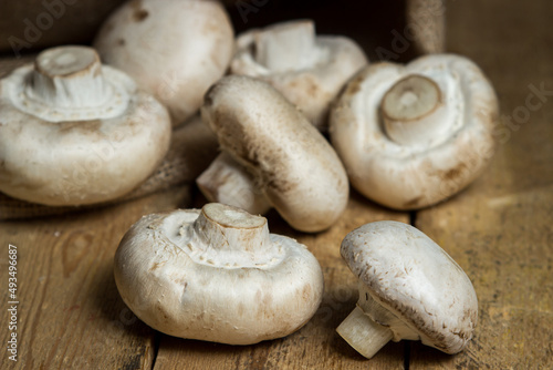 Champignons on a wooden background. Fresh white mushrooms. A lot of mushrooms