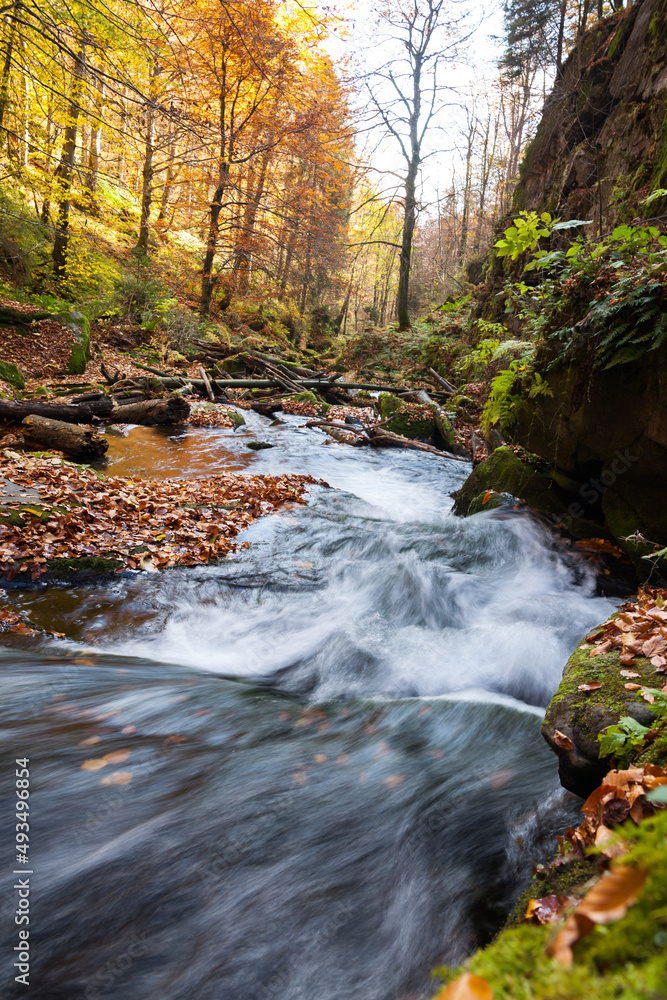 View of the mountain river. Beautiful autumn landscape. View of the mountain river. Beautiful autumn landscape.