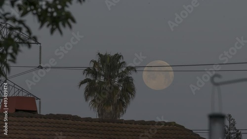 Full moon setting over a palm tree and house seen from a backyard