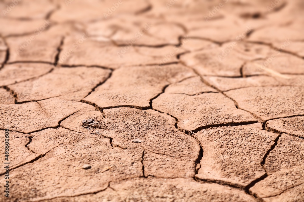 Obraz premium Drought in Morocco