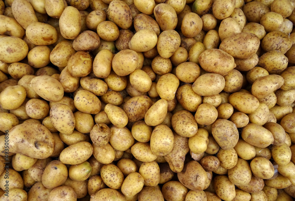 Potatoes (Solanum tuberosum in Latin) on a farmers market stall in the Aegean coastal town Bodrum, Turkey. Potatoes (Solanum tuberosum in Latin) on a farmers market stall in the Aegean coastal town Bodrum, Turkey.