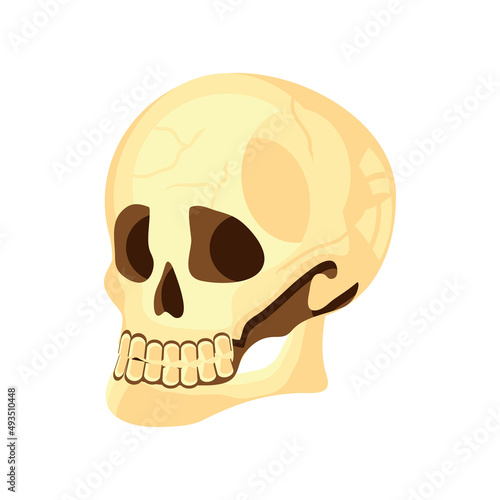 skull icon flat