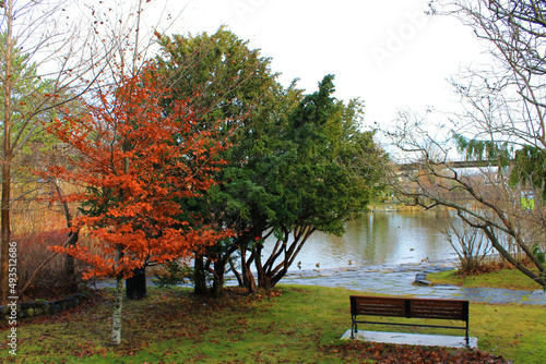 A park bench by the side of a pond, Bowring Park, St. John's, NL, Autumn.