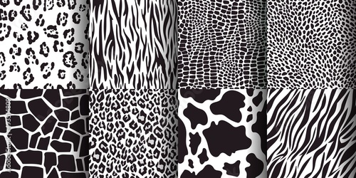 Photography Animal skin seamless pattern, giraffe, leopard, tiger, cow prints