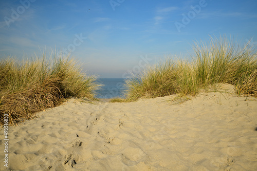 Ein Weg aus Sand in den Dünen führt zwischen Gräsern zum Strand und zum suchtbaren blauem Meer