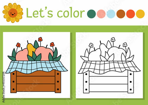 Fototapeta Naklejka Na Ścianę i Meble -  On the farm coloring page for children with wooden box with garden fruit. Vector rural country outline illustration with harvest. Color book for kids with colored example. Drawing skills printable.