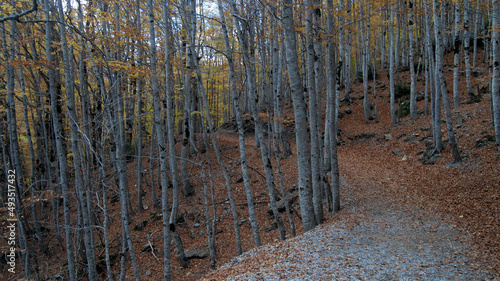 Ordesa en oto  o.Pirineo aragones