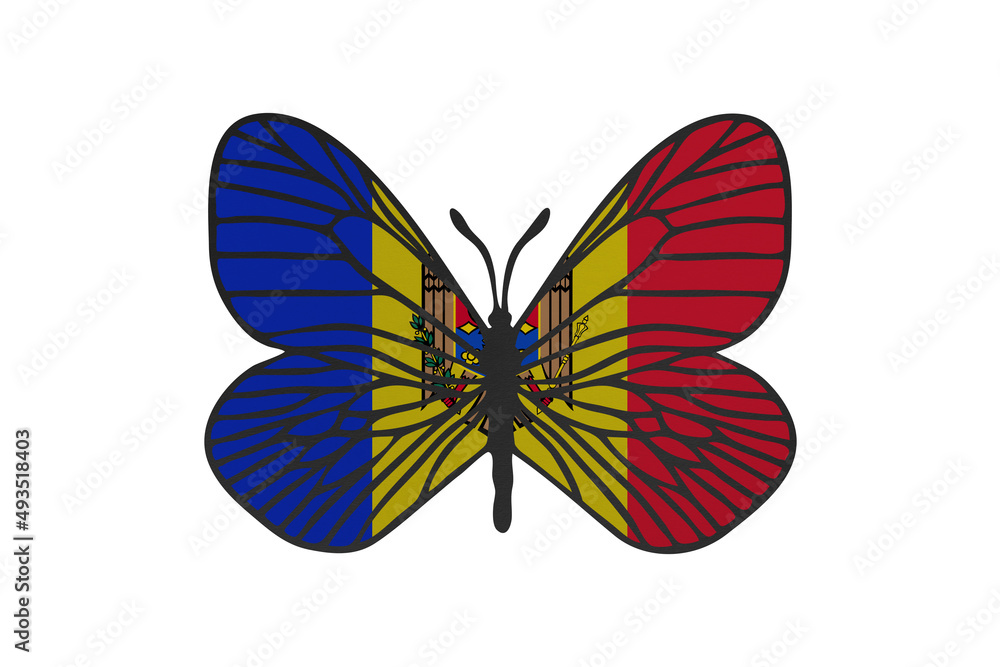 Fototapeta premium Butterfly wings in color of national flag. Clip art on white background. Moldova