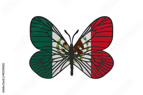 Butterfly wings in color of national flag. Clip art on white background. Mexico