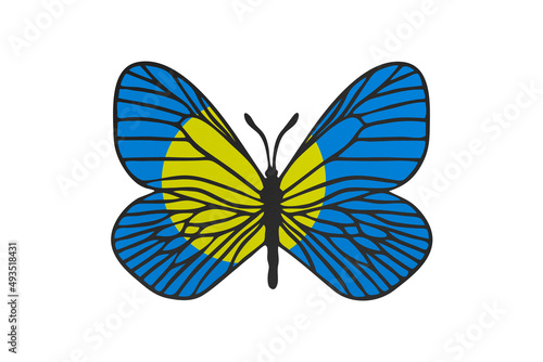 Butterfly wings in color of national flag. Clip art on white background. Palau
