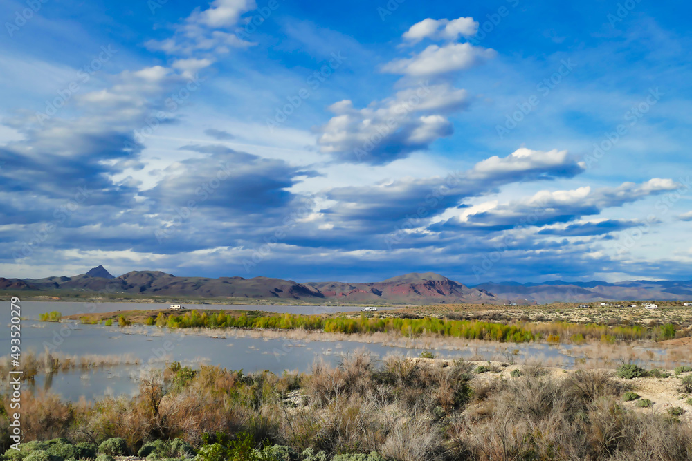 The picturesque camping ground on Alamo Lake, with a view of the Rawhide Mountains in the Sonoran desert of Arizona, USA
The picturesque camping ground on Alamo Lake, with a view of the Rawhide Mountains in the Sonoran desert of Arizona, USA