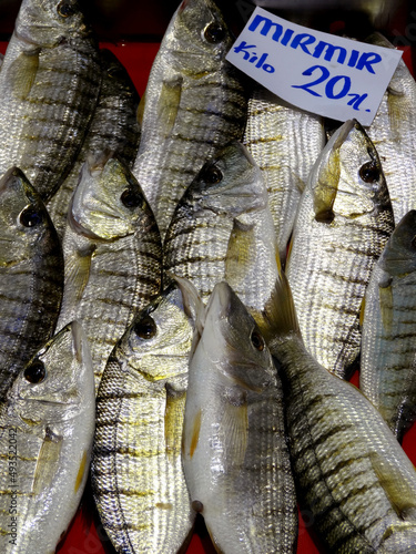 Sand steenbrases known also striped seabream on a stall in Canakkale Fish Market in Turkey. On the label is written price per kilogram of the fish (mirmir) in Turkish . 