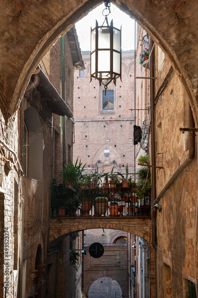 Picturesque alley (Vicolo delle Scotte), in the old city center. Municipal building in the background.