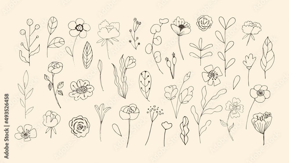 Fototapeta premium Set of doodle beautiful spring and summer floral elements: flowers and leaves, berries. For wedding poster, Womens Day 8 of March and Valentines day, kids holiday. Vector illustration