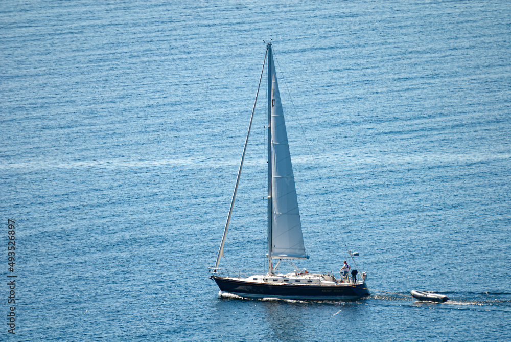 Obraz premium 541-48 Spring Sail