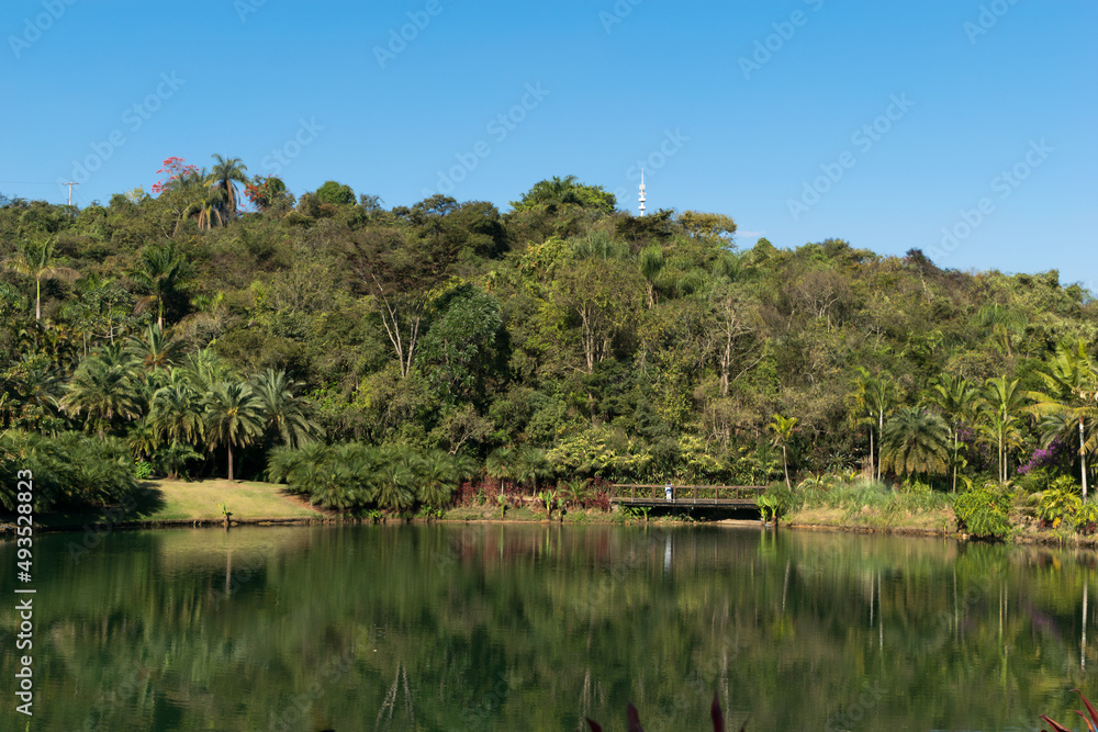 Linda vista de lago artificial, com muita vegetação ao redor e um lindo reflexo dessa vegetação, céu azul sem nuvens e um pequena ponte ao fundo, localizado no museu a céu aberto de Minas Gerais.