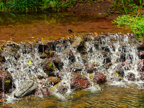 Cascata de pedras, logo antes de pequeno lago de nascente com águas cristalinas, localizada no parque das Mangabeiras, Belo Horizonte, Minas Gerias. photo