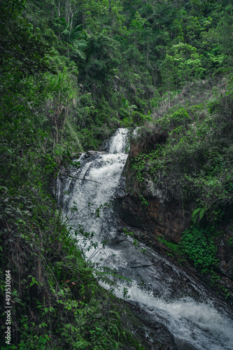 Mountain aqua cascade waterfall inside of wild tropical timberland