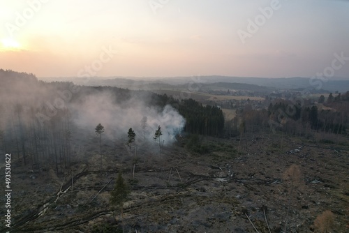 forest fire and smoke in forests in Vysočina, Czech republic, Europe, forest after bark beetle calamity in Higlands,aerial panorama landscape view,deforestation photo