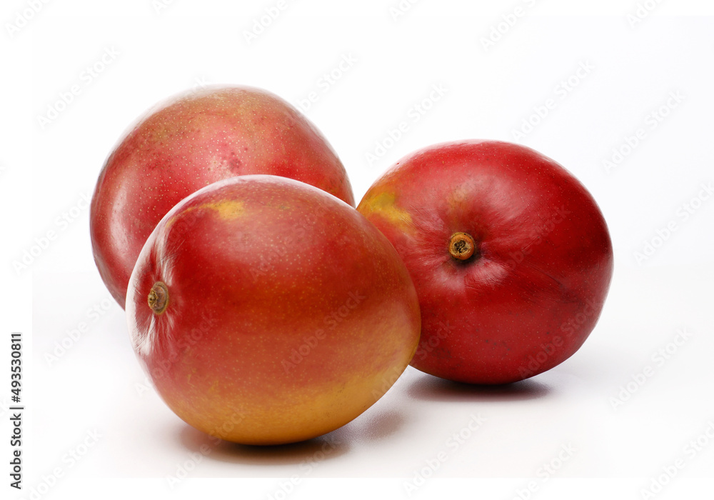 Fresh mangoes fruit isolated on white background. Fresh mangoes fruit isolated on white background.