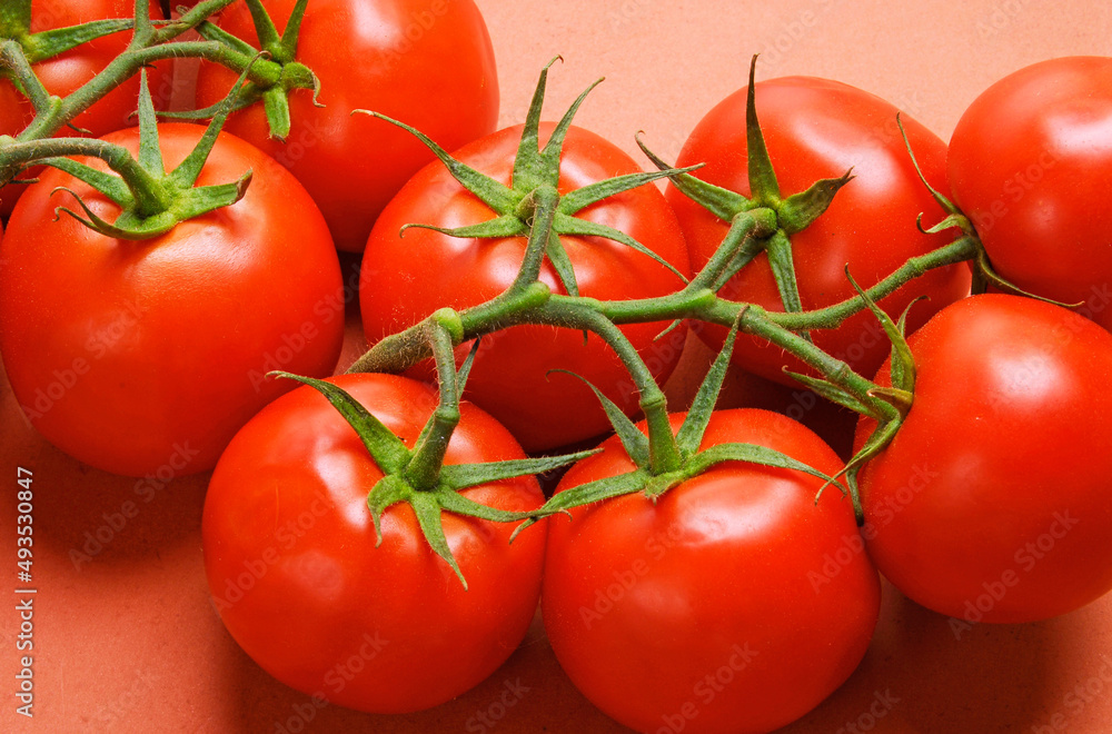Bunch of fresh tomatoes on red background. Bunch of fresh tomatoes on red background.