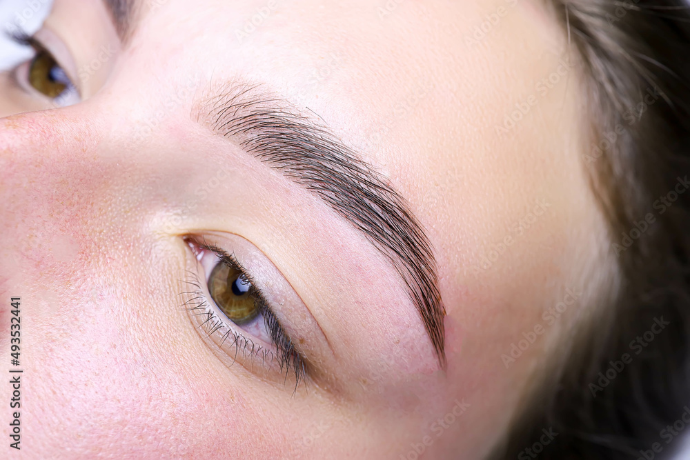 Obraz premium finished work after the procedure of lamination of eyebrows and correction and coloring