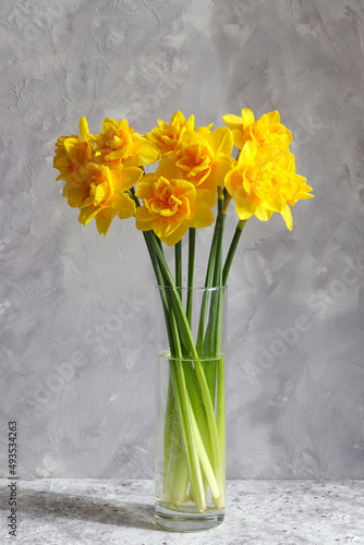Beautiful bouquet of yellow daffodils in a vase against a gray wall. Flower arrangement. Spring. Greeting card for the holidays
